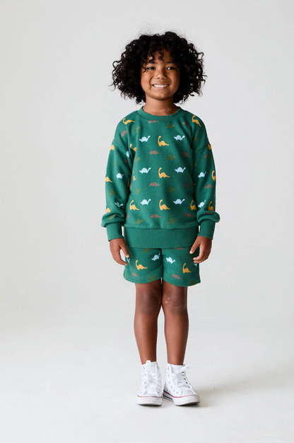 Dino Party Long Sleeve Shirt