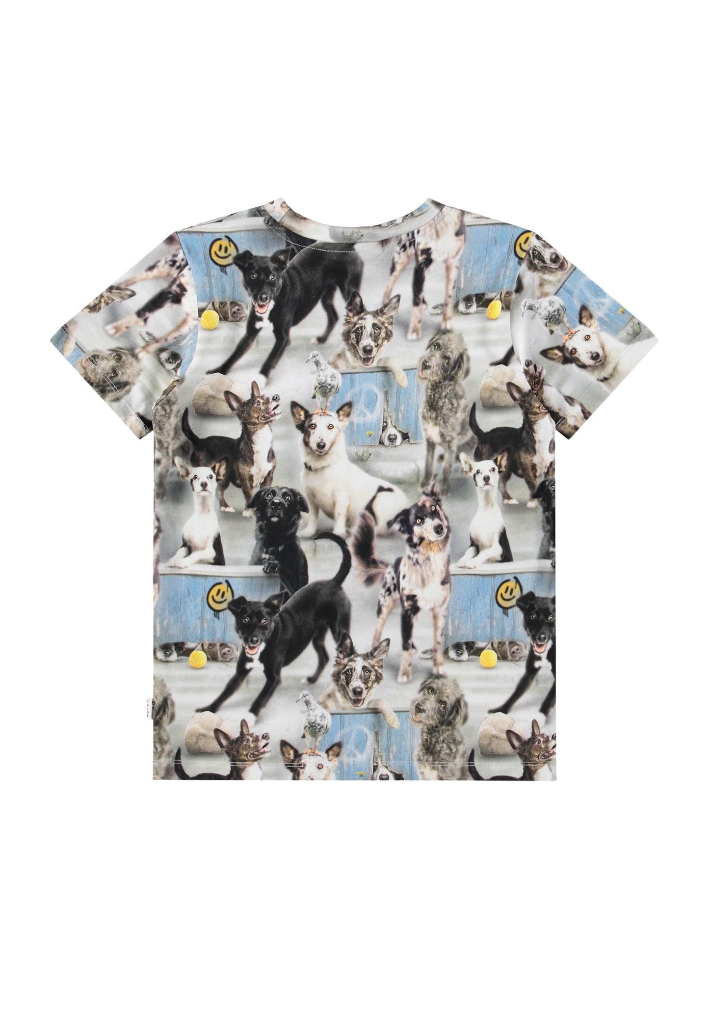 6247 Curious dogs ralphie tee