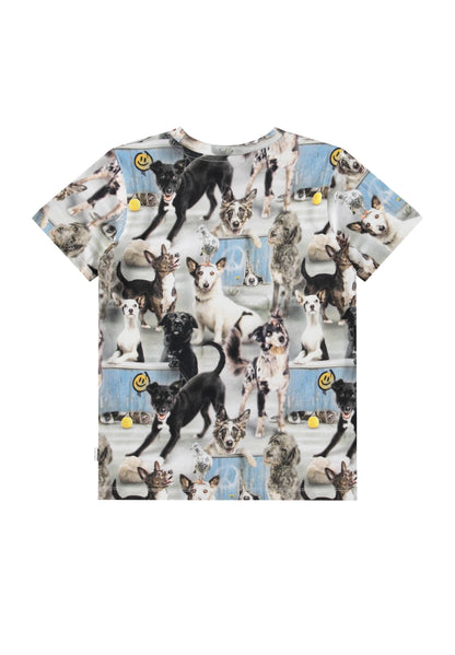6247 Curious dogs ralphie tee