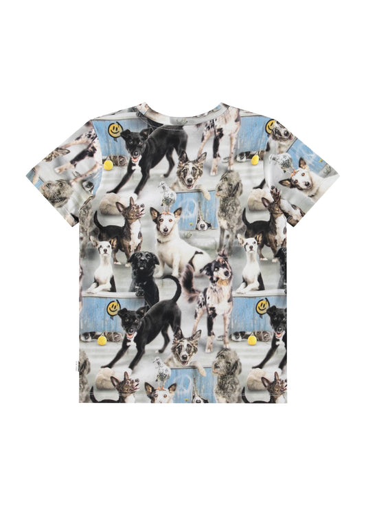 6247 Curious dogs ralphie tee