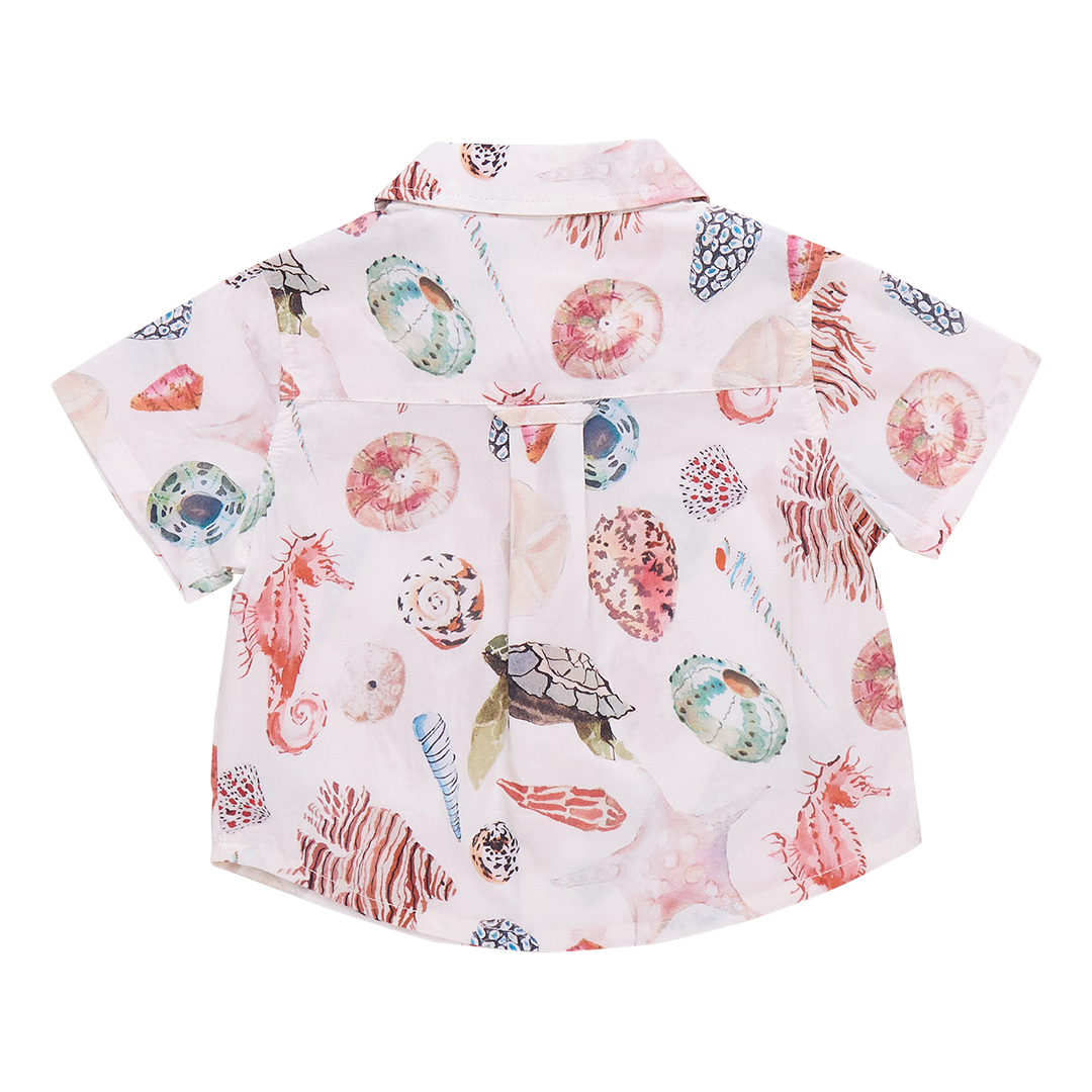 Baby Boy Jack Shirt - Watercolor Shells