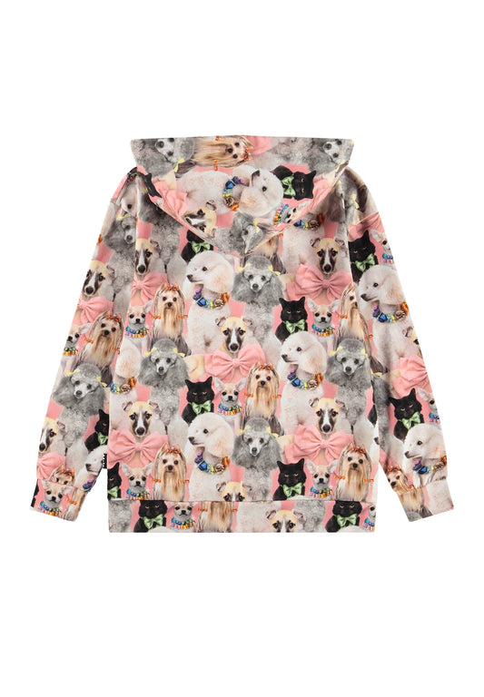 9792 embellished rhona hoodie