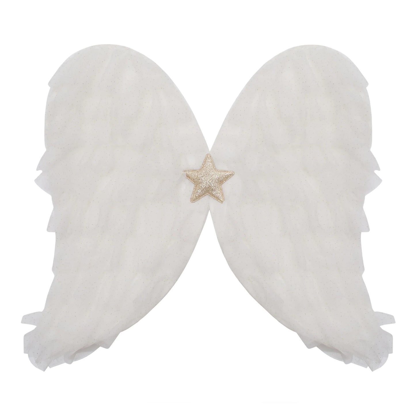 angel wings